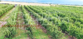 ������� ������ | Imot.bg � ����� ������ 16