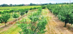 ������� ������ | Imot.bg � ����� ������ 11