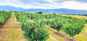 ������� ������ | Imot.bg � ����� ������ 4