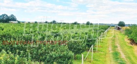 ������� ������ | Imot.bg � ����� ������ 12