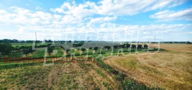 ������� ������ | Imot.bg � ����� ������ 14