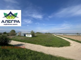 ����� ������� ������,�. �����, ������ ���������