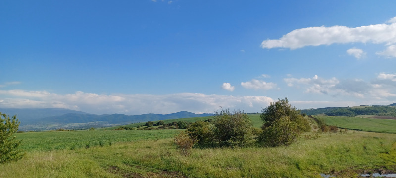 Продаја  Плот регион Софиа , Пожарево , 10000 м2 | 86373518 - слика [4]