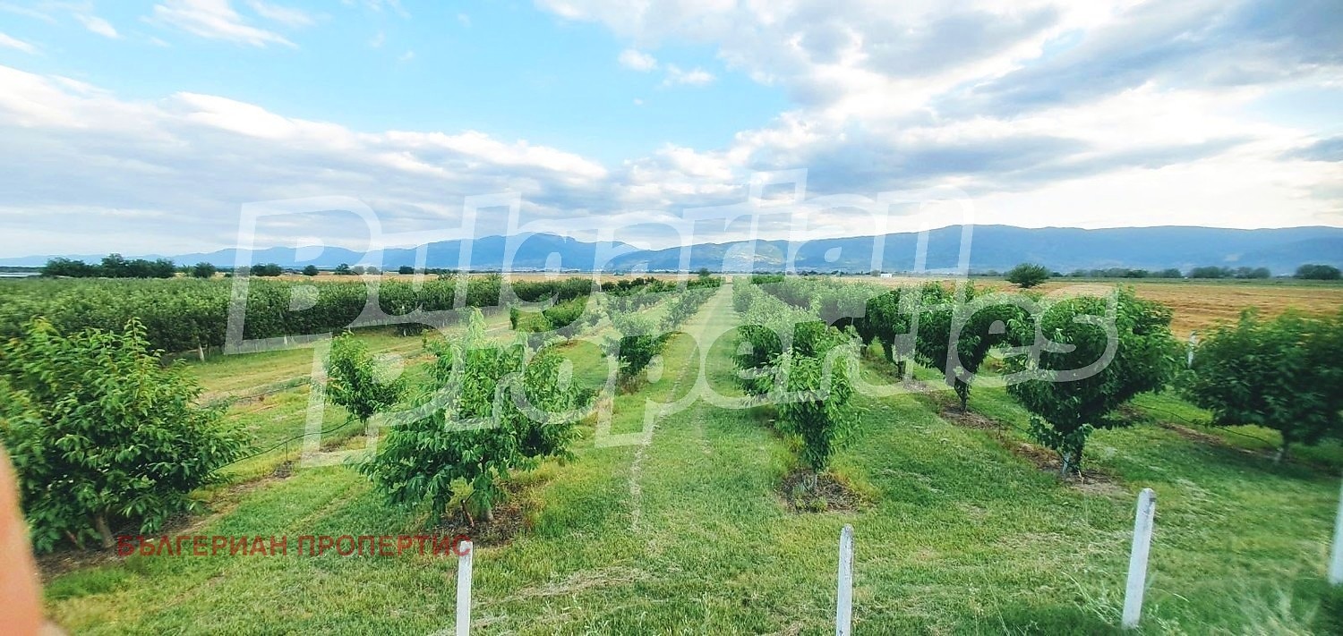 Продава ПАРЦЕЛ, с. Катуница, област Пловдив, снимка 2 - Парцели - 54267573