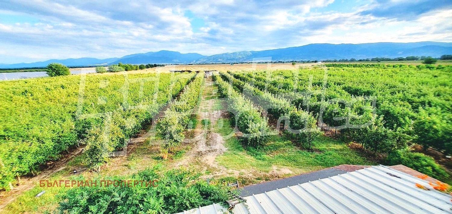Продава ПАРЦЕЛ, с. Катуница, област Пловдив, снимка 3 - Парцели - 54267573