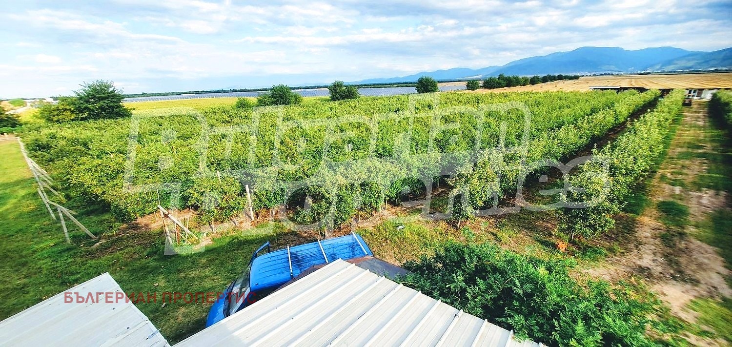 Продава ПАРЦЕЛ, с. Катуница, област Пловдив, снимка 7 - Парцели - 54267573