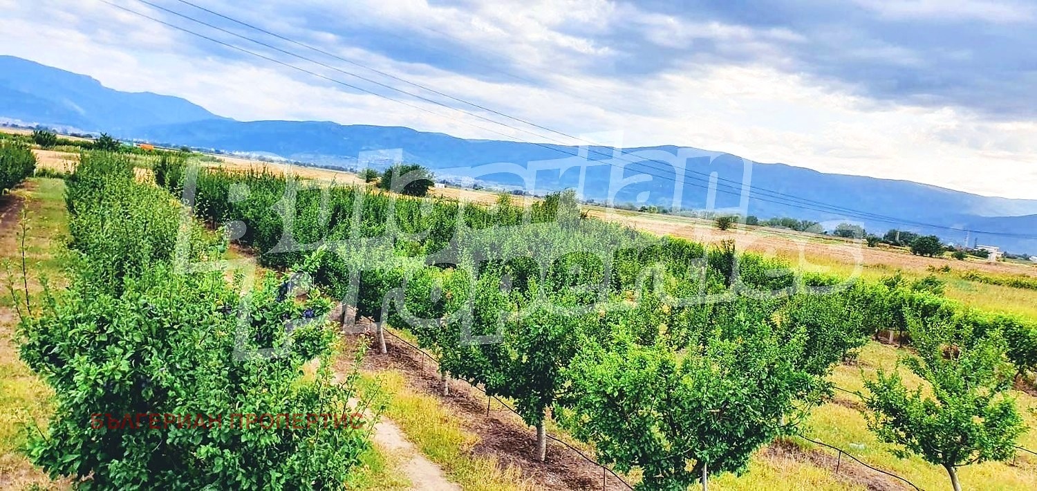 Продава ПАРЦЕЛ, с. Катуница, област Пловдив, снимка 5 - Парцели - 54267573