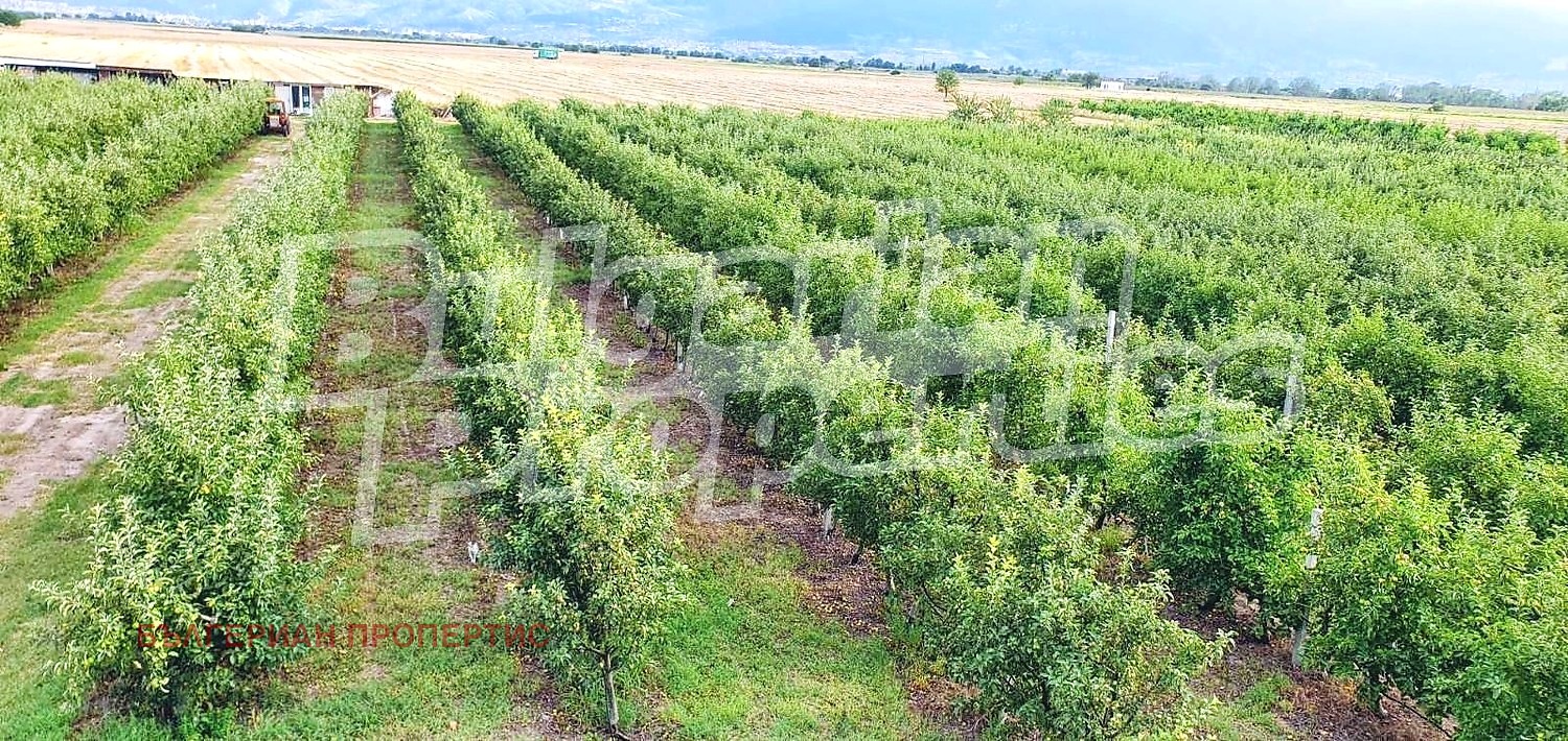 Продава ПАРЦЕЛ, с. Катуница, област Пловдив, снимка 16 - Парцели - 54267573