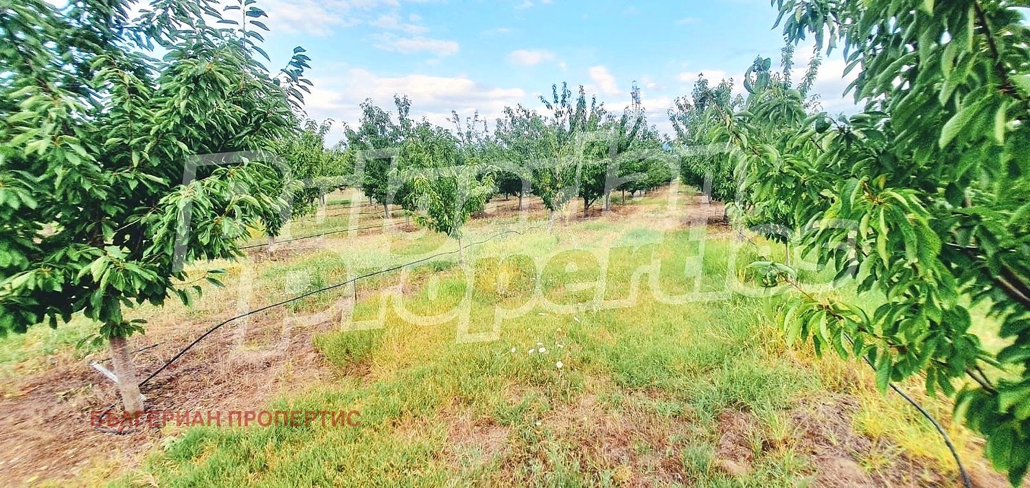 Продава ПАРЦЕЛ, с. Катуница, област Пловдив, снимка 17 - Парцели - 54267573