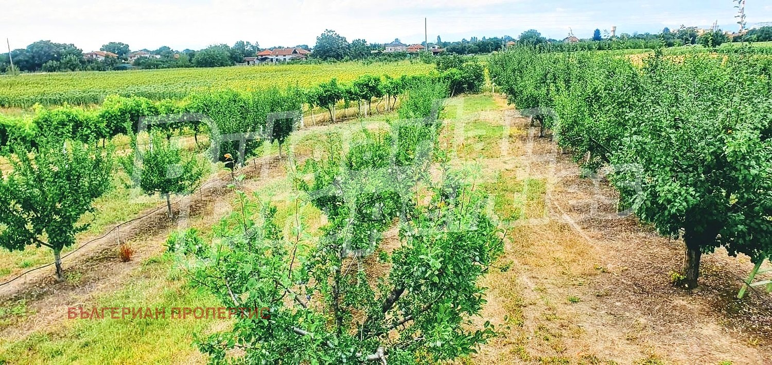 Продава ПАРЦЕЛ, с. Катуница, област Пловдив, снимка 11 - Парцели - 54267573