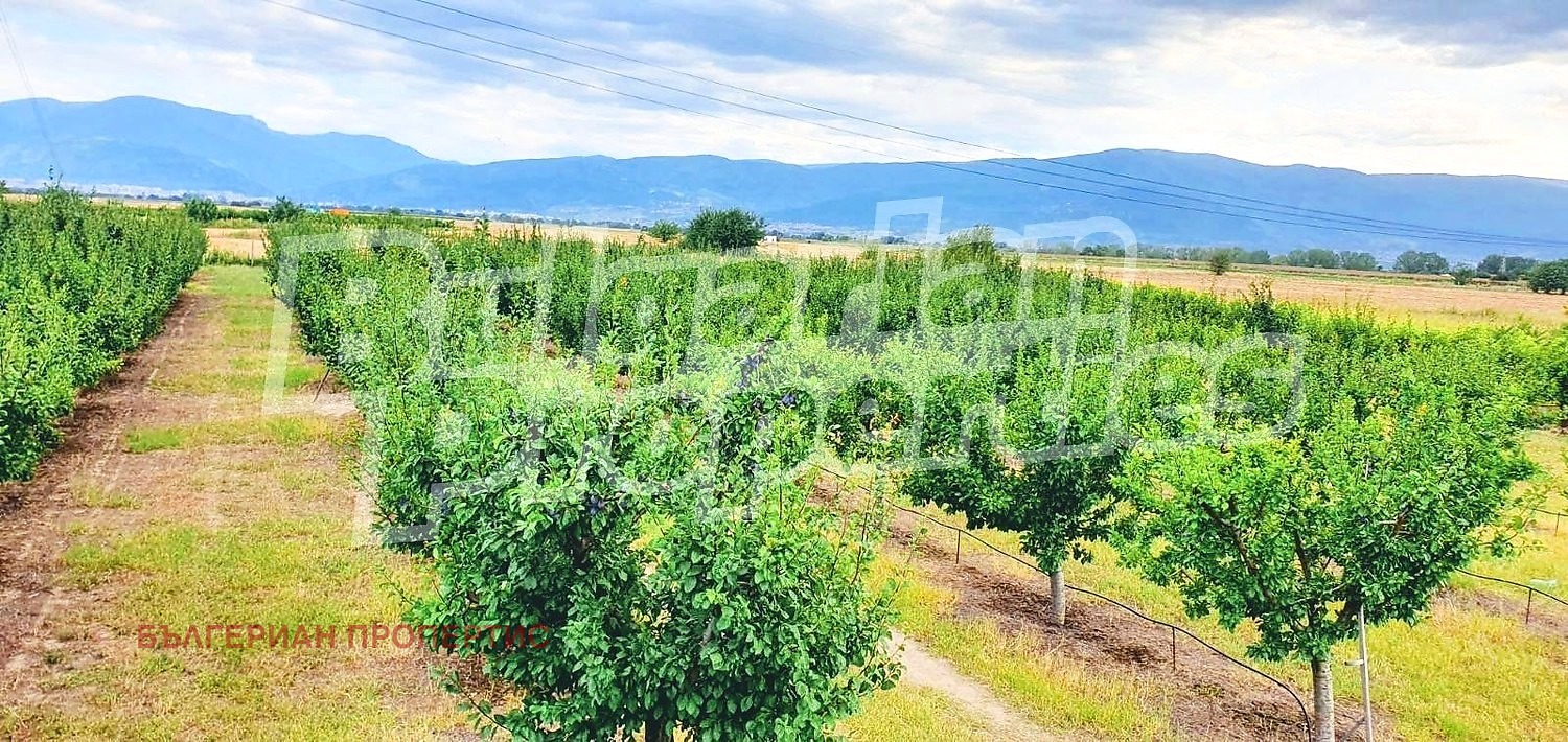 Продава ПАРЦЕЛ, с. Катуница, област Пловдив, снимка 4 - Парцели - 54267573