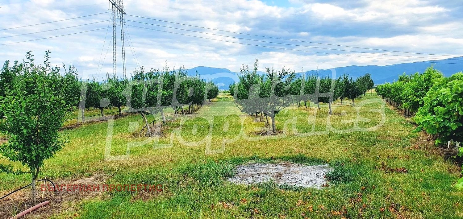 Продава ПАРЦЕЛ, с. Катуница, област Пловдив, снимка 15 - Парцели - 54267573