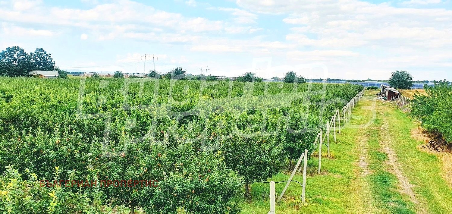 Продава ПАРЦЕЛ, с. Катуница, област Пловдив, снимка 12 - Парцели - 54267573