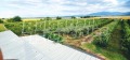 Продава ПАРЦЕЛ, с. Катуница, област Пловдив, снимка 10