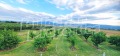 Продава ПАРЦЕЛ, с. Катуница, област Пловдив, снимка 13