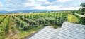 Продава ПАРЦЕЛ, с. Катуница, област Пловдив, снимка 6