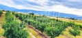 Продава ПАРЦЕЛ, с. Катуница, област Пловдив, снимка 5