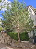 Продава  Къща област Пловдив , с. Нареченски бани , 210 кв.м | 62873627 - изображение [13]