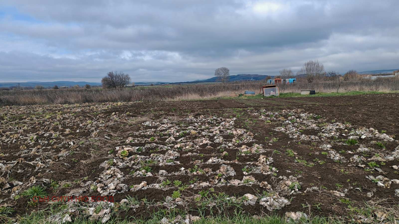 ������� ������ | Imot.bg � ����������� 7