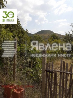   | Imot.bg    3