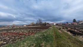 ����� ������� ������,�. ������, ������ �����