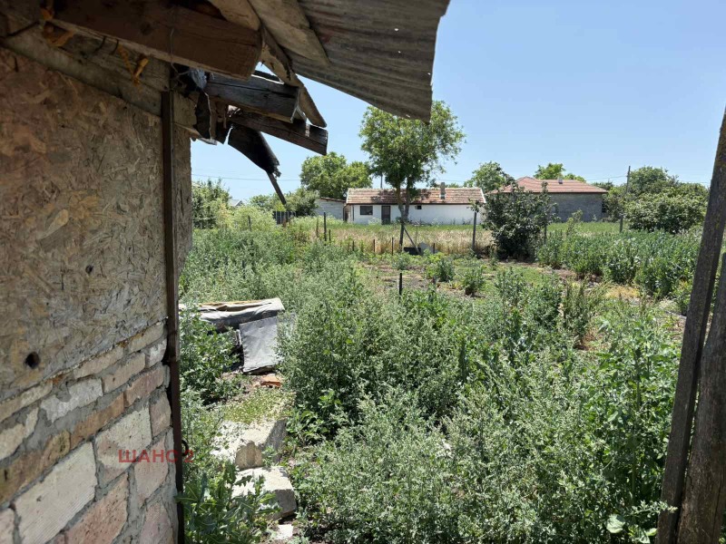 Te koop  Huis regio Dobritsj , Tsaritsjino , 50 m² | 46900344 - afbeelding [5]