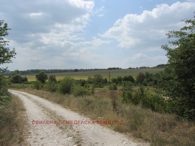 Zu verkaufen  Handlung region Varna , Zdrawez , 8700 qm | 82101641 - Bild [6]