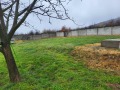 Продава ПАРЦЕЛ, област Пазарджик, с. Бошуля • 100000 € / 195583.00 лв. • 57068659 1