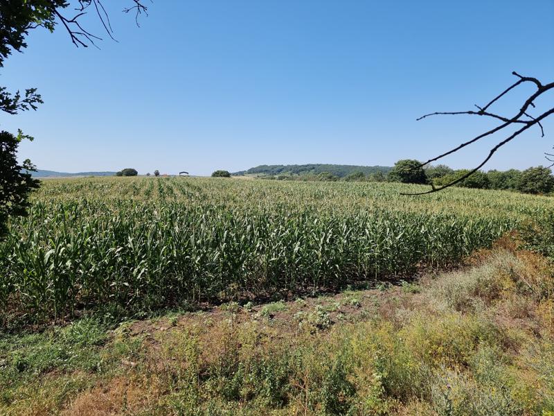 Продава ПАРЦЕЛ | Imot.bg — изображение 1