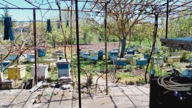 ������� ���� | Imot.bg � ����� ������ 5