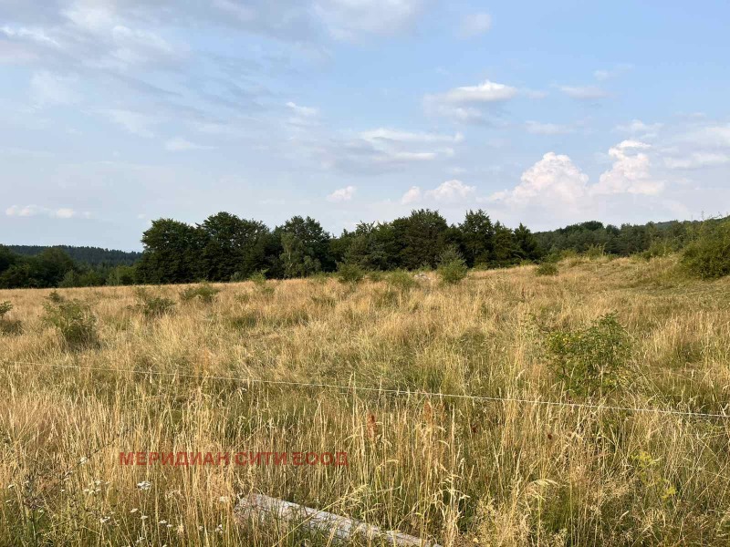 À venda  Trama Sofia , Jeleznica , 4854 m² | 28151395 - imagem [4]