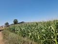 Продава ПАРЦЕЛ, с. Драчево, област Бургас, снимка 2