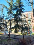 Продава 3-СТАЕН, град Бургас, Център • 209800 € / 410333.13 лв. • 99365682 8
