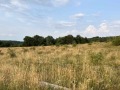 Продава ПАРЦЕЛ, град София, с. Железница • 126000 € • 35837311 — Holmes.bg
