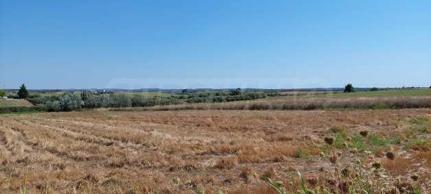 ������� ������ | Imot.bg � ����������� 4