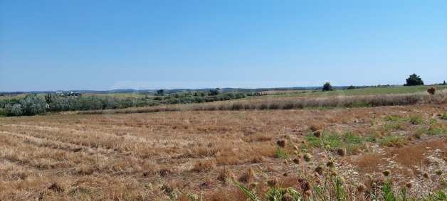 ������� ������ | Imot.bg � ����������� 3