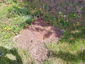 ������� ������ | Imot.bg � ����� ������ 5