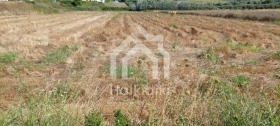 ������� ������ | Imot.bg � ����� ������ 10
