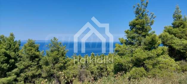 Продава ПАРЦЕЛ, Извън страната, област Извън страната, снимка 6 - Парцели - 54846488