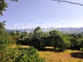 Продава КЪЩА, с. Старо село, област Ловеч, снимка 6