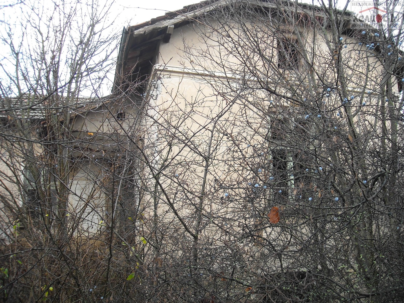 ������� ������ | Imot.bg � ����������� 8