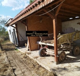 Hus Borets, region Plovdiv 10