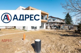 ������ ������� ����