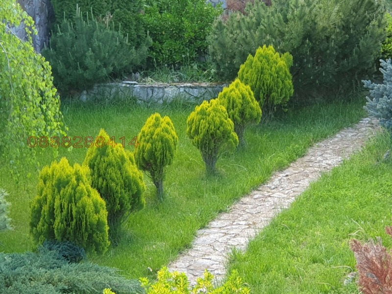 Na sprzedaż  Dom region Warny , Nowakowo , 130 mkw | 63526445 - obraz [16]