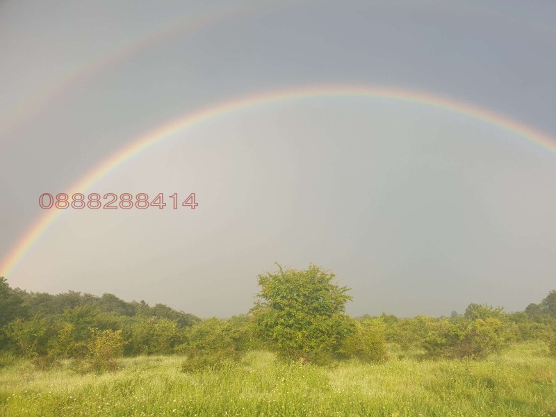 Na sprzedaż  Dom region Warny , Nowakowo , 130 mkw | 63526445 - obraz [10]
