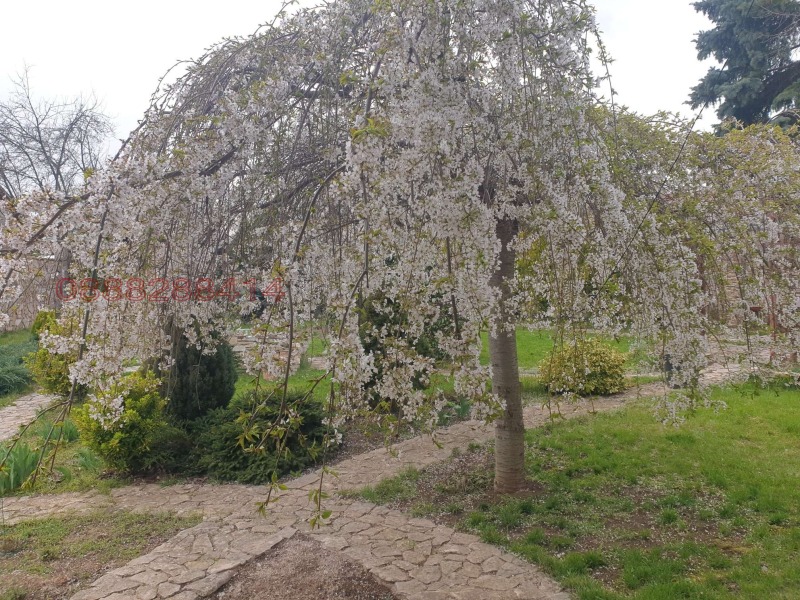 Na sprzedaż  Dom region Warny , Nowakowo , 130 mkw | 63526445 - obraz [13]