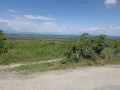Продава ПАРЦЕЛ, с. Брестовица, област Пловдив, снимка 2