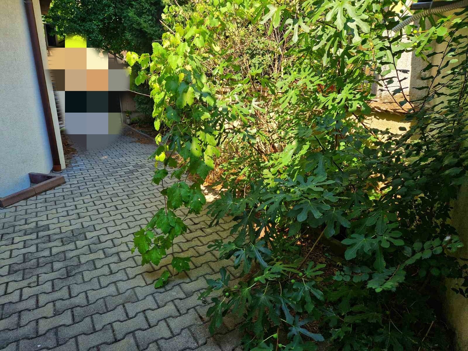 ������� 1-����� | Imot.bg � ����������� 5