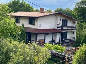 Casa Drugan, Região Pernik 1