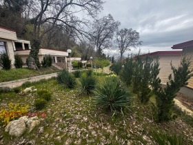 ������ ������� ����